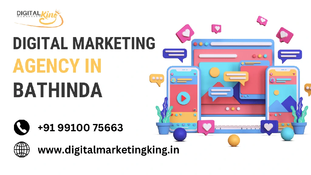 Digital Marketing Agency in Bathinda
